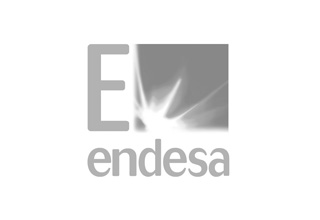 Endesa, sectores eléctrico y gasístico